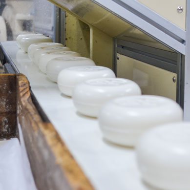 Soap Manufacturing